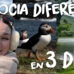 ¿Dónde está el vídeo de ayer?