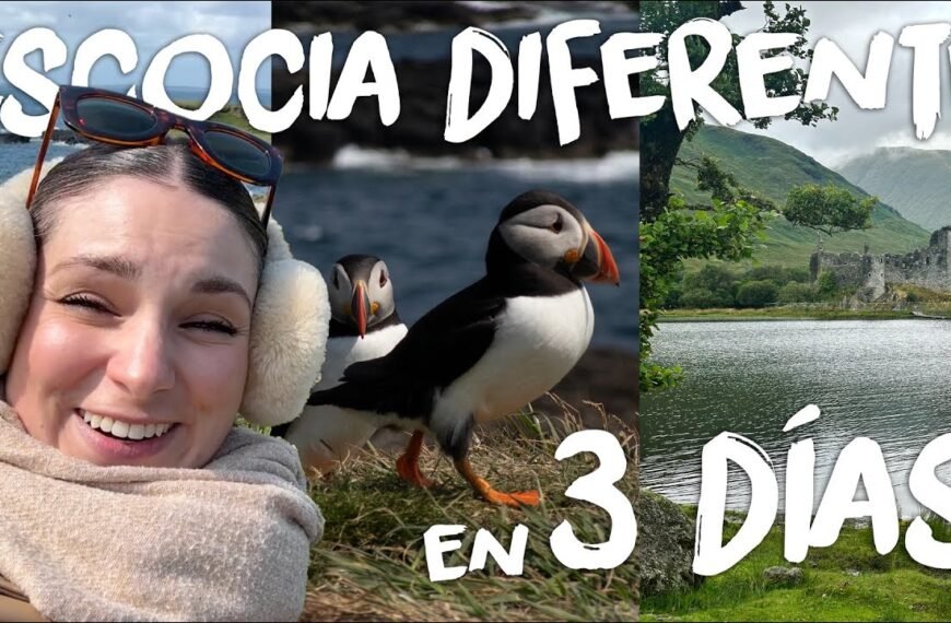 ¿Dónde está el vídeo de ayer?