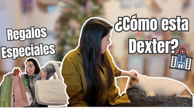¿Cómo está DEXTER? Regalos