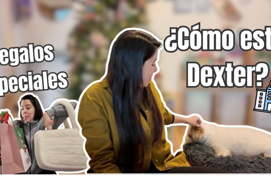 ¿Cómo está DEXTER? Regalos