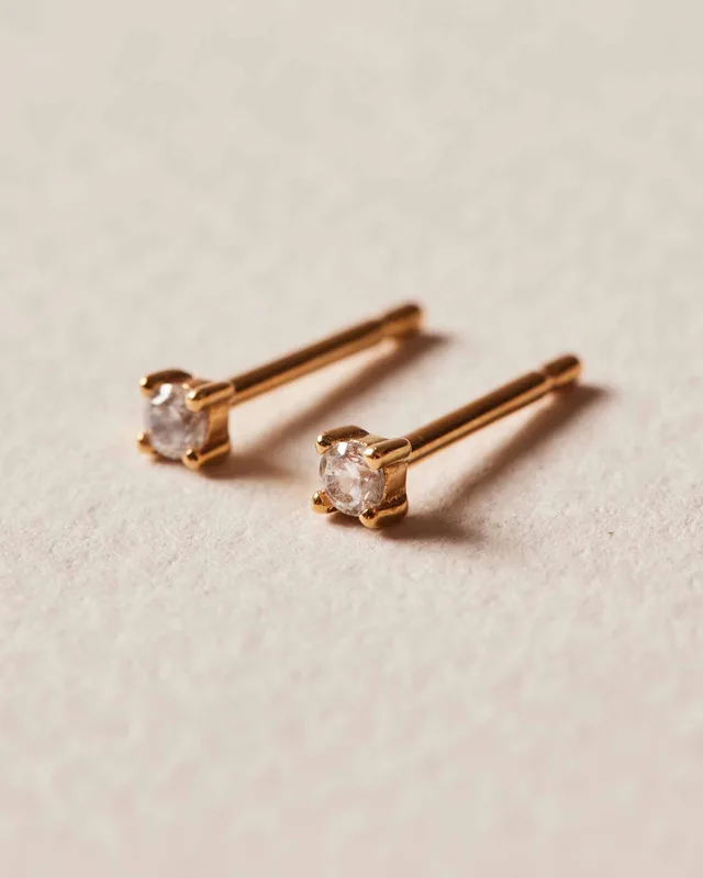 Pendientes Classic Xs de Apodemia